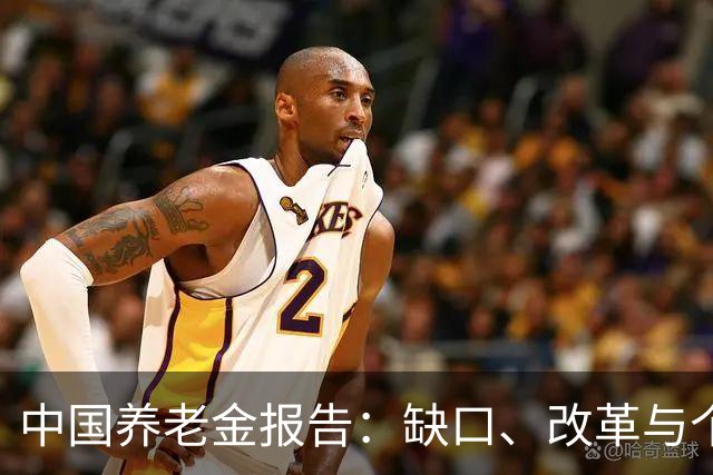 中国养老金报告：缺口、改革与个人