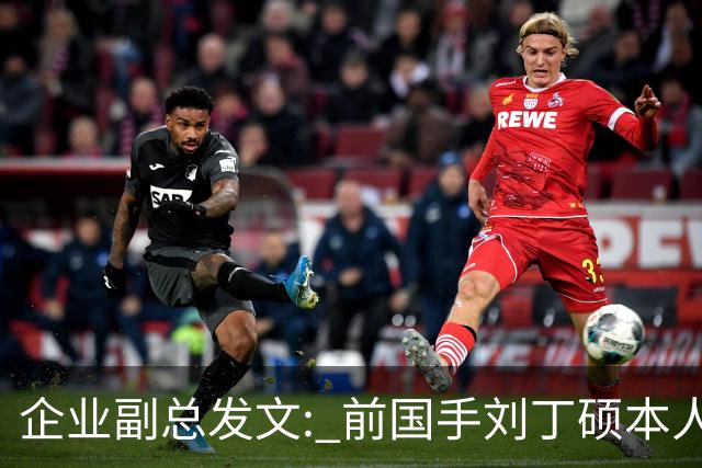 企业副总发文: 前国手刘丁硕本人就是饭圈，一直在给乒乓饭圈续命