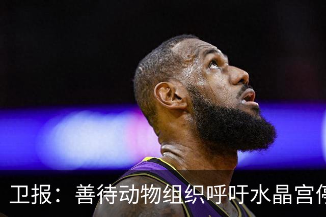 卫报：善待动物组织呼吁水晶宫停用活体白头海雕作为吉祥物