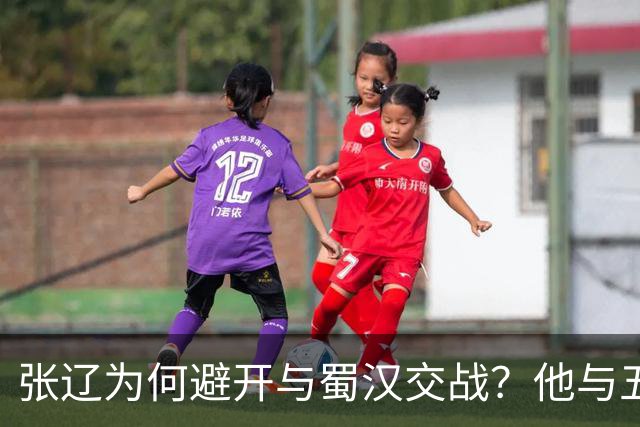 张辽为何避开与蜀汉交战？他与五虎大将单挑，能赢几人？
