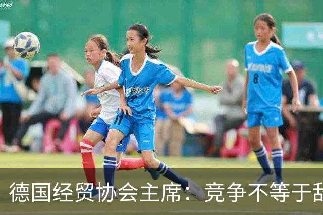 德国经贸协会主席：竞争不等于敌意，中欧需把对话成果落到实处