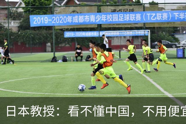日本教授：看不懂中国，不用便宜的电线杆，非要花钱铺设地下电缆