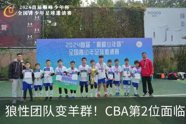 狼性团队变羊群！CBA第2位面临下课主帅曝光，发布会怒喷70%球员不在线，却说自己问心无愧！评论区一边倒