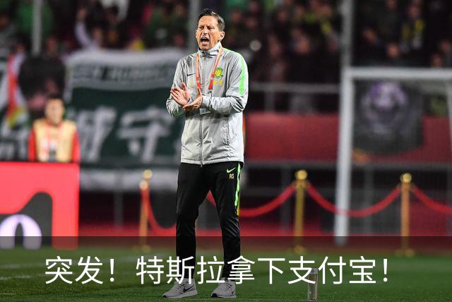 突发！特斯拉拿下支付宝！