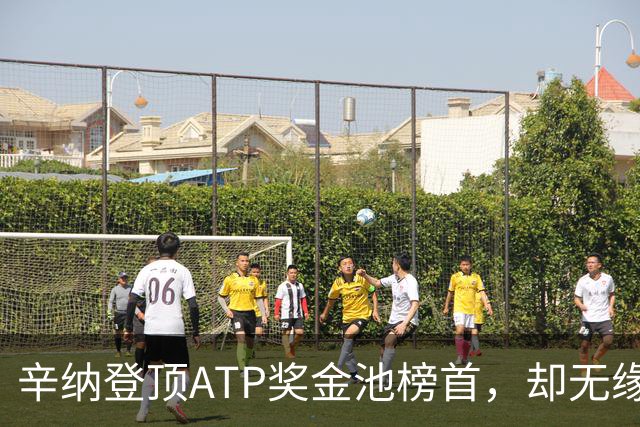 辛纳登顶ATP奖金池榜首，却无缘450万美元巨额奖励