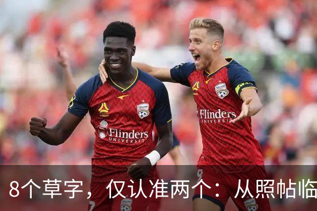 8个草字，仅认准两个：从照帖临写到独立创作，中间要补哪几课？
